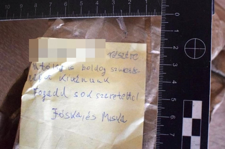 Vádat emelhetnek a tökéletesnek gondolt fagyállós gyilkosság elkövetője ellen