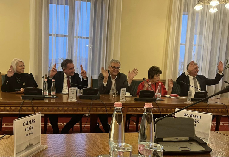 Szavazásra lendült a kéz, az iskolaigazgatóból lett fideszes képviselő pedig kollégáit és saját hivatását is elárulta
