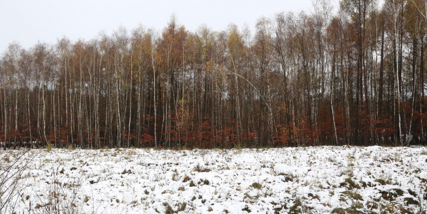 Beütött a tél: volt, ahol -15,3 fokot mértek