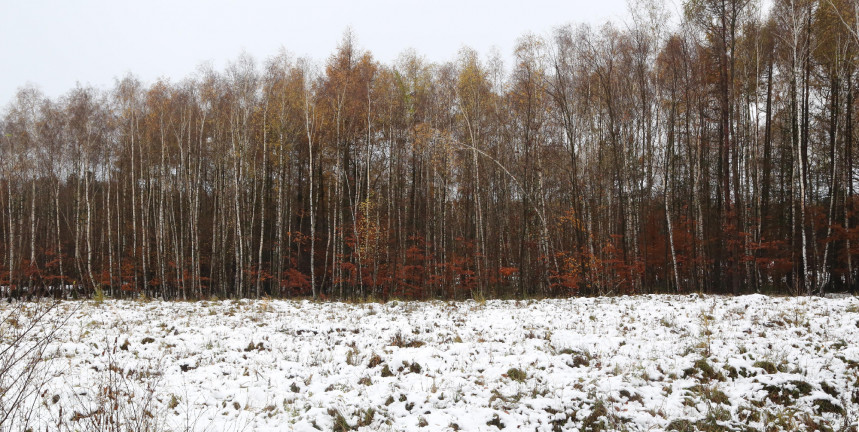 Beütött a tél: volt, ahol -15,3 fokot mértek