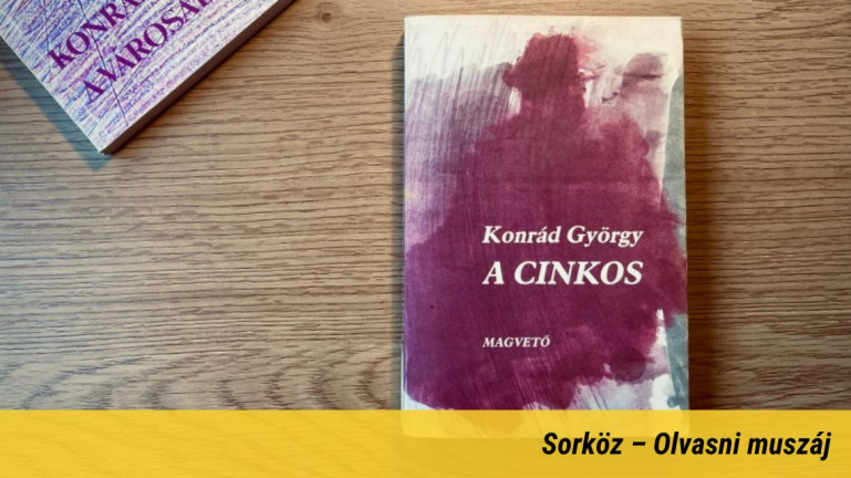 „A diktatúra kényelemszeretetből táplálkozik”