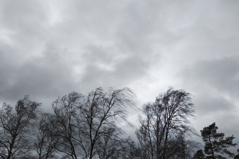 Erős szélre figyelmeztet a meteorológiai szolgálat