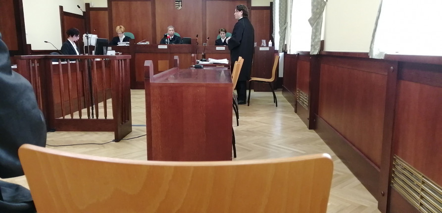 Tizenhat év fegyházra ítélték a gyulai gyilkost