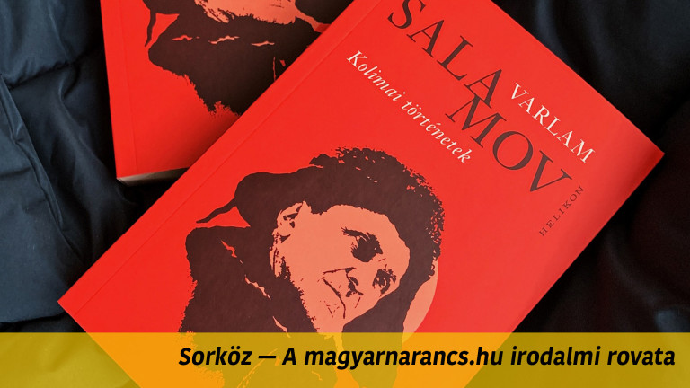 „Arra vágyott, hogy valahol a kórházban, rendes ágyon, ágynemű közt haljon meg”