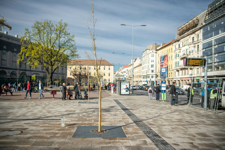 Pótolták a kettétört fát a Blaha Lujza téren