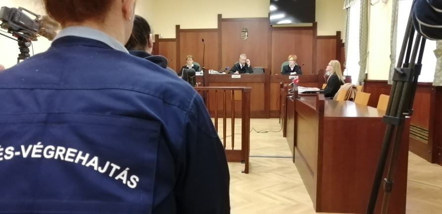 Tizenhárom évre enyhítették a darabolós gyilkos büntetését