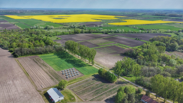 Növényi génbankot hozna létre a kormány több mint félmilliárd forintból