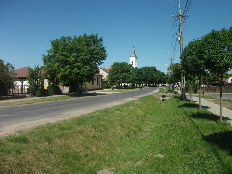 Tizenegy éves gyerek cége építene lakóparkot a Balatonnál