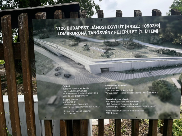 A Normafán is készül lombkoronasétány, kétmilliárdból