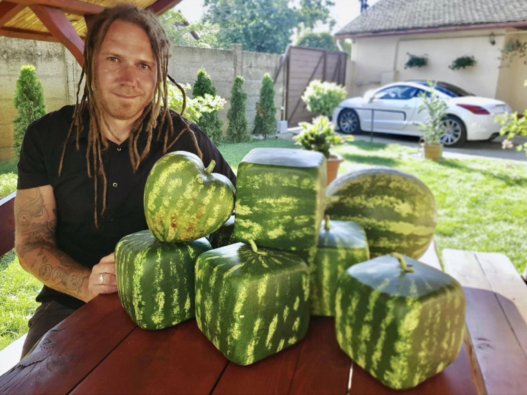 Szív alakú görögdinnyével hódít az őstermelő DJ