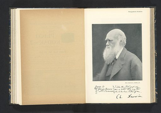 Darwin tanai felbukkanásuk idején a magyar társadalmat is alaposan felbolygatták