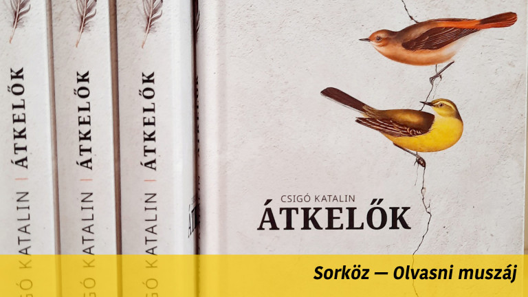 Amikor a pszichoterapeuta tollat ragad