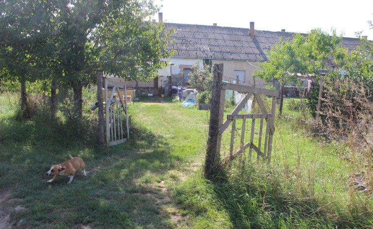Már óvodás korában cégalapító lett a balatonszabadi lakóparkot tervező kft. tulajdonosa 
