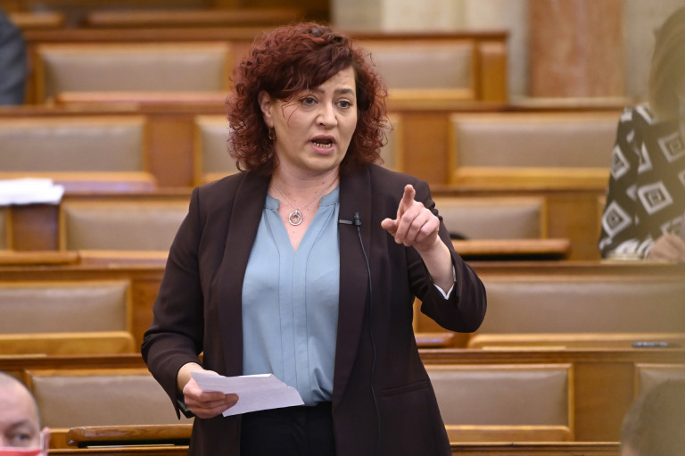 Ez a parlamenti írásbeli kérdés tökéletesen rávilágít arra, mi miért nem működik