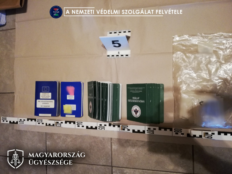 Vádat emeltek egy hatósági állatorvos és 9 társa ellen korrupció miatt