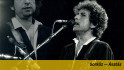 Mit csinál a vadmacska a híres Bob Dylan-dalban?