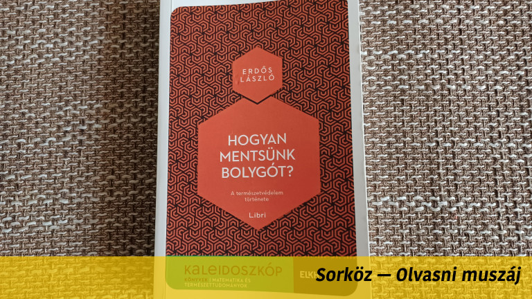 Tomboló viharban mászott fel egy fa tetejére