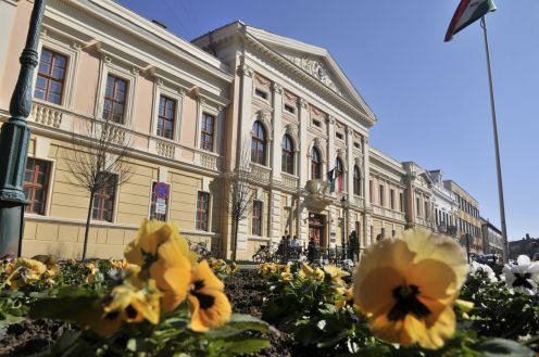 Bárki ellen lehet gondnokságba vételi eljárást indítani? A válasz: igen
