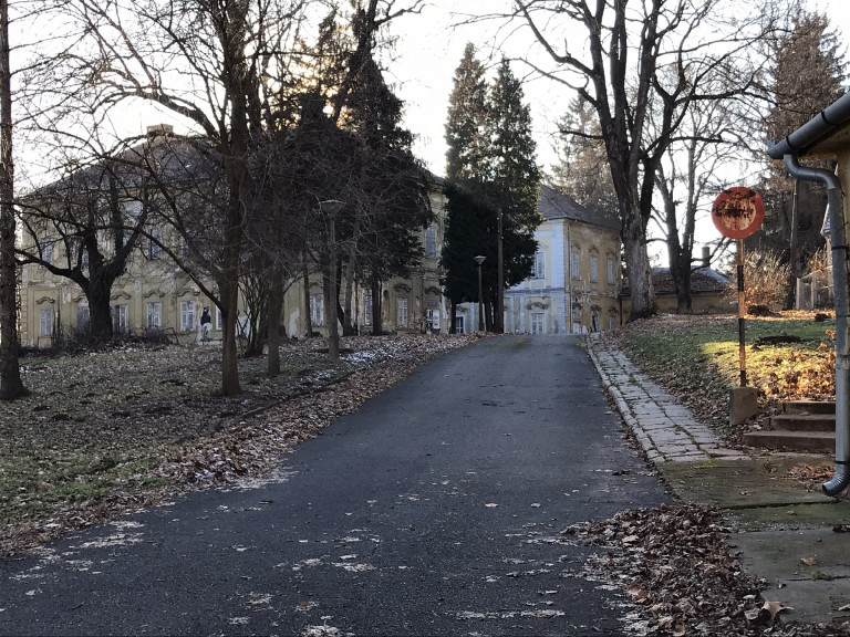 Látatlanban vette meg a lengyeltóti Zichy-kastélyt egy különös cég