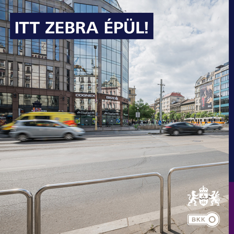 Végre lesz zebra az Astorián