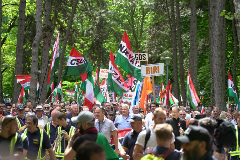 Magukat polgárinak mondó álcivil szervezeteknek és a Fradi-vezérnek is jutott közpénz a 2026-os Városi Civil Alapból