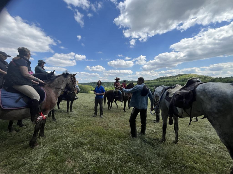 Két lábon, négy lábon, két keréken és kenuval – majd' kétezer embert vonzott idén a tolnai dombok túrája