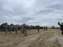 Tűz, erő - NATO-hadgyakorlaton jártunk a Bakonyban