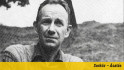 Tandori Dezső: Ne menj el senkihez szobanövénynek!