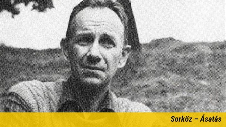 Tandori Dezső: Ne menj el senkihez szobanövénynek!