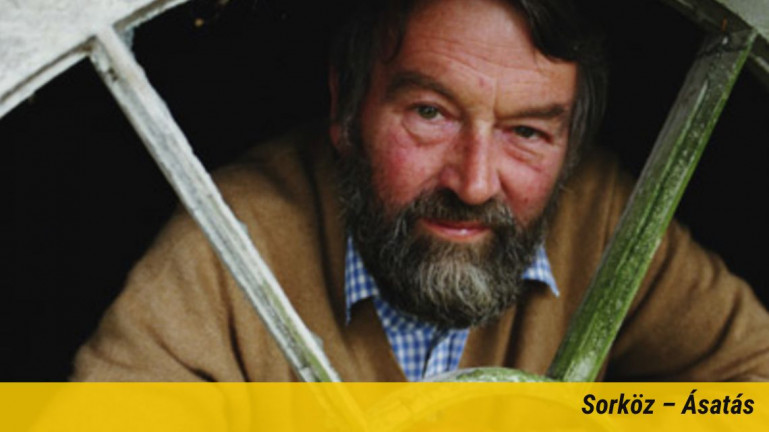 A regény műfajának mogorva mestere nem nyerte el az irodalmárok bizalmát