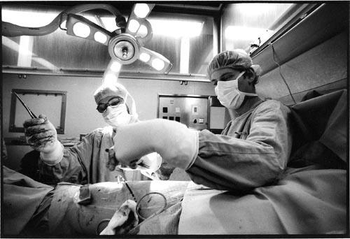 Tájékoztató a felnőttkori élődonoros májtranszplantációról – Transzplantációs és Sebészeti Klinika