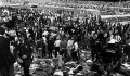 A semleges szurkoló halála - Heysel-tragédia