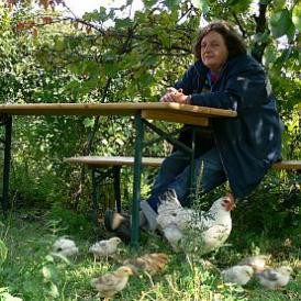 II. Emberi Jogi Filmnap