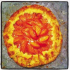 Fine tarte aux abricots