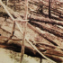 A vörös meteor - Tunguszka, 1908