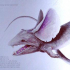 Bestiarium Islandiæ