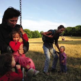 Erdő a lejtőn - Mi készül a Normafán?