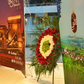 Illúzió nincs, intézet van 