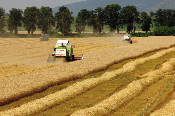 Ujhelyi István szerint a kormány szándékosan késik az agrárpályázatok kiírásával