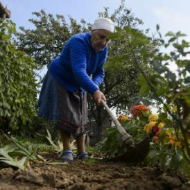 Nem csak hobbi – Bajba kerültek a kertészek a földtörvény miatt