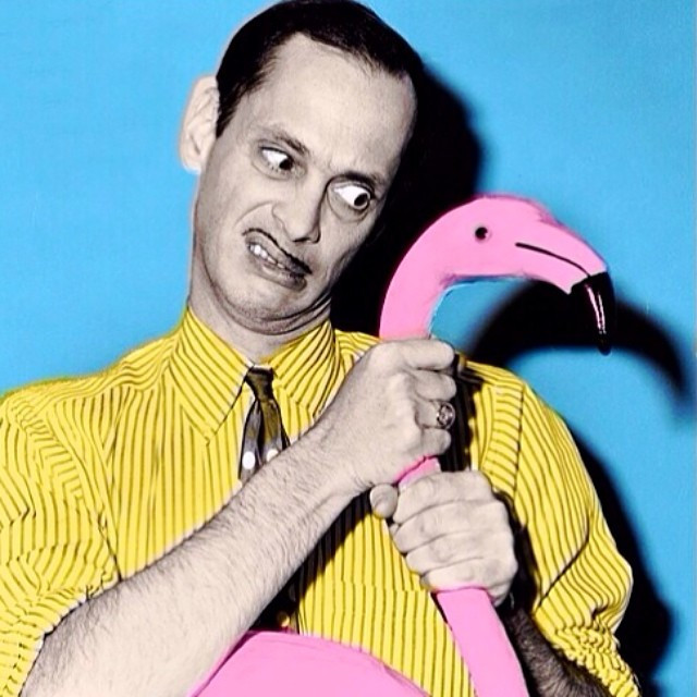 Betűzöm: b.r.o.j.o.b. – John Waters a Narancsnak