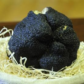 Fazekas Sándor ma megújította a politikai kommunikációt