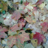 Vérbeli november – Időjárás a héten