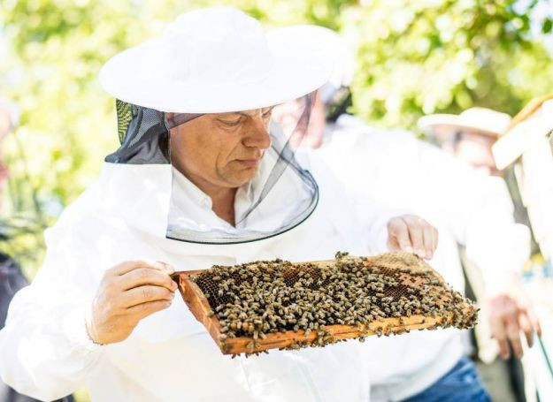 Hordókban áll  az eladatlan magyar méz