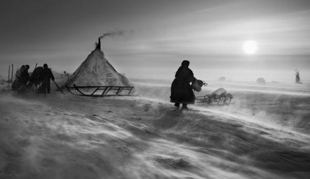 Meztelen tekintet – Wenders–Salgado: A Föld sója