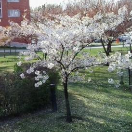 Visszakúszunk a húszra – Időjárás a héten