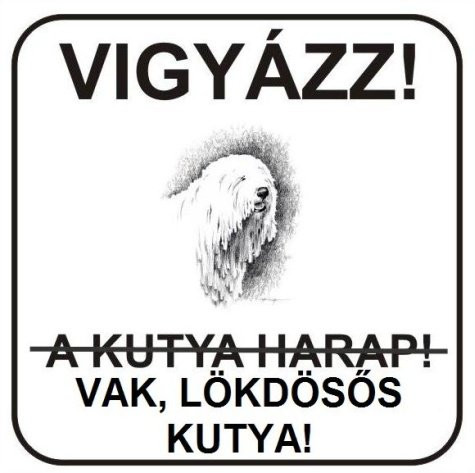 Seggnyalók, előre! Mindenre lesz pénz