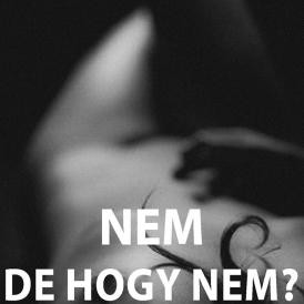  NEM – De hogy nem?