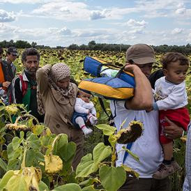 Őrület! A rohadt újságírók megint eltorzították egy katolikus méltóság szavait a menekültekről