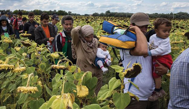 Pont ezt akarták! - A menekültválság és az összeesküvés-elméletek